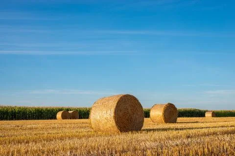 Raral landscape Stock Photos