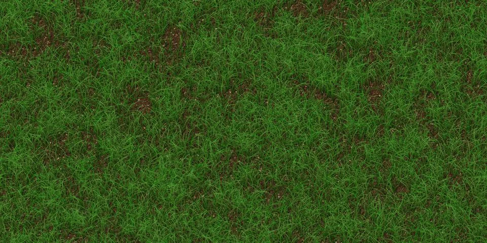 Rare grass texture. Field background. Park lawn pattern. Textured meadow ba.. Ilustração Stock