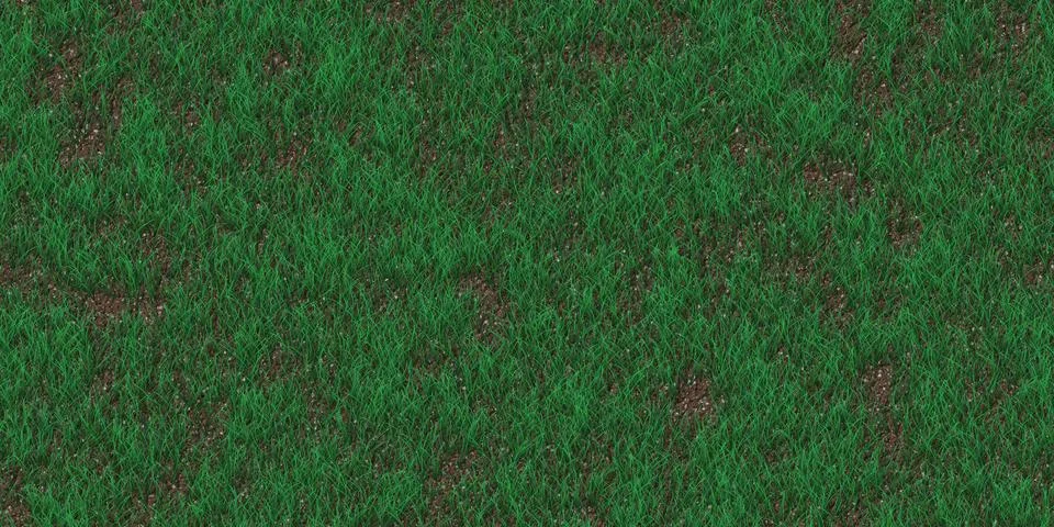 Rare grass texture. Field background. Park lawn pattern. Textured meadow ba.. Stock-Illustration