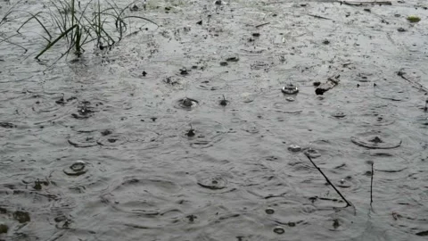 Rare, large drops of rain fall into the dark water of the river. Stock-Footage 96027630