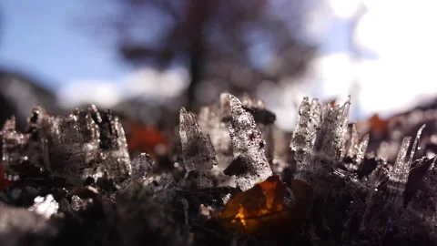 Rare Needle Ice on Ground Stock Footage 221734836