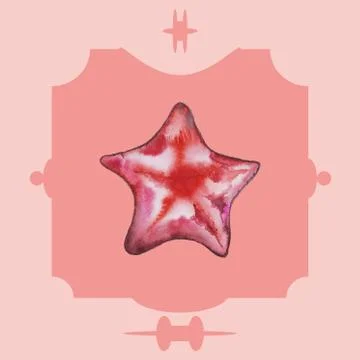 Rare red starfish. Stock Illustration