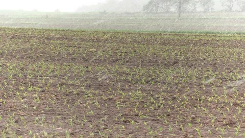 Rare spring snow storm over farm country Stock-Footage 154865146