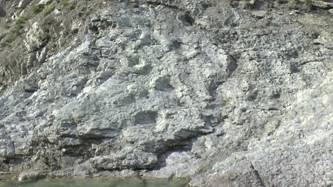 Rare triassic archosaurs nests Video stock 79619901