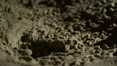 Rare video of endangered loggerhead turtles hatching at night on Mon Repos Stock Footage 282882927