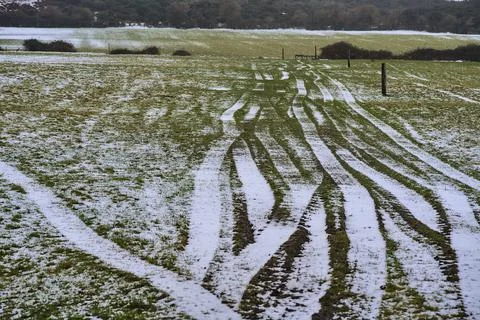 Rare winter view of typical Irish farm with tractor wheels prints on grass Stock Photos