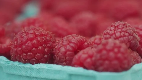 Rasberries Close up in Pint Basket Stock Footage 77396076