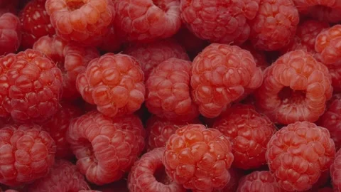 Rasberries Stock Footage 249262669