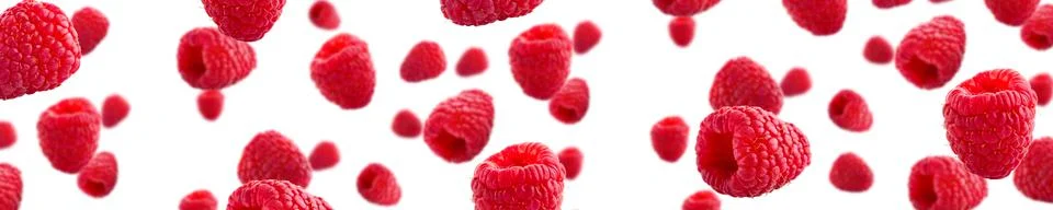 Raspberries abstract background. Fruit pattern of colorful wild berries isolated Stock Photos