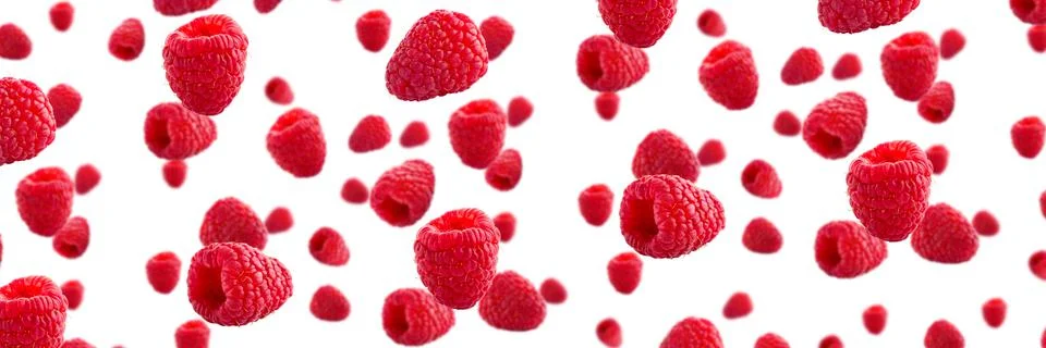 Raspberries abstract background. Fruit pattern of colorful wild berries isolated Stock Photos