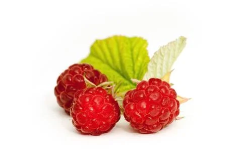 Raspberries and green leafs Stock Photos