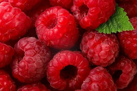 Raspberries and leaf close-up background. Top view Stock Photos