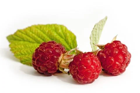 Raspberries and leaf Stock Photos