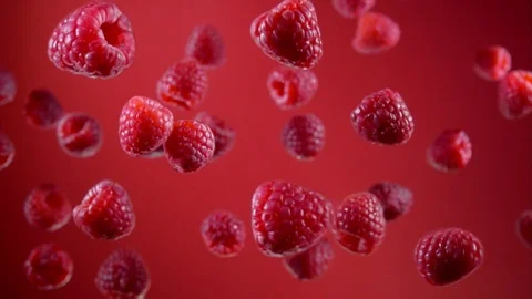 Raspberries are flying up and falling down on the red background in slow motion Stock Footage 125984473