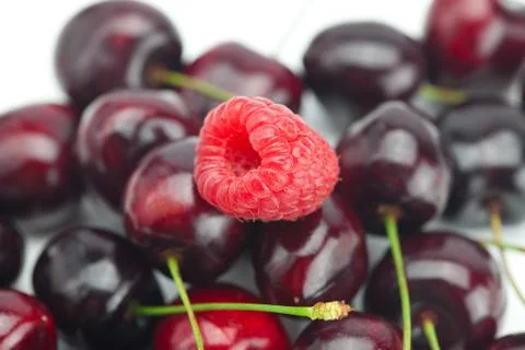 Raspberries on a background of cherry Stock Photos