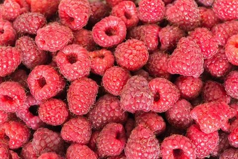 Raspberries background closeup Stock Photos