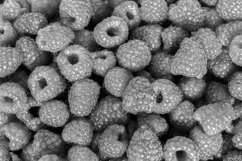 Raspberries background closeup Stock Photos