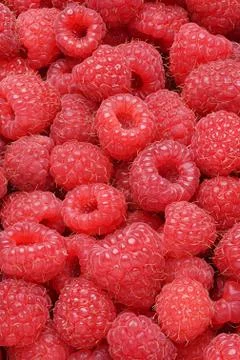 Raspberries background or texture Stock Photos