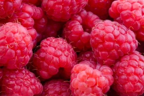 Raspberries background Stock Photos