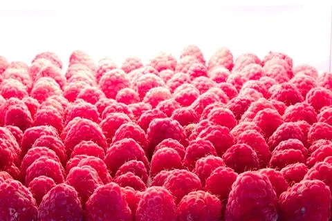 Raspberries background Stock Photos