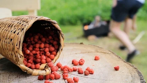 Raspberries in the basket to cut trees on the background of a burning barbecue Видео 75315959