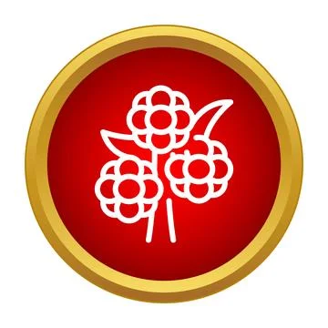 Raspberries berries fruit icon simple web design Stock Illustration