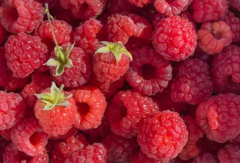 Raspberries in bulk Stock Photos