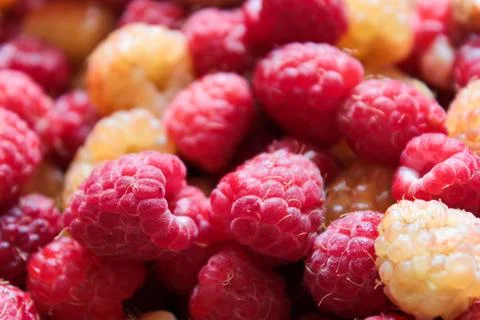 Raspberries Close-Up 2 Stock Photos