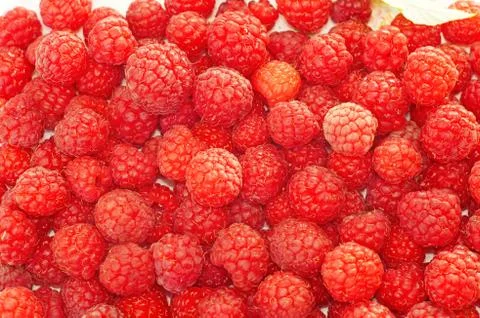 Raspberries  close up as background Stock Photos