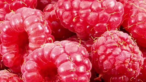 Raspberries close-up 스톡 동영상 166363520