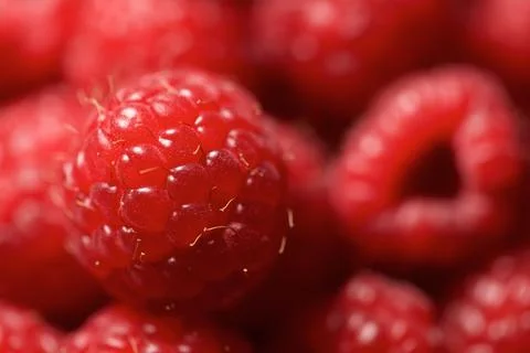 Raspberries close up Stock Photos