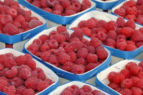 Raspberries in containers Stock Photos