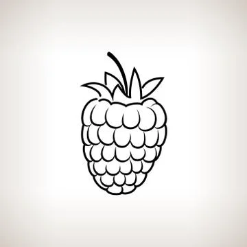 Raspberries in the Contours Illustrazione stock