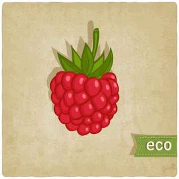 Raspberries eco background Stock Illustration