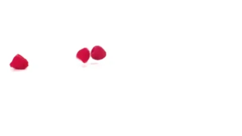 Raspberries fall onto a white cyc in slow motion Stock Footage 70683292
