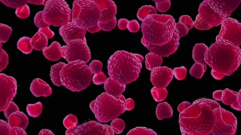 Raspberries Falling on Black Background. Stock Footage 170919119