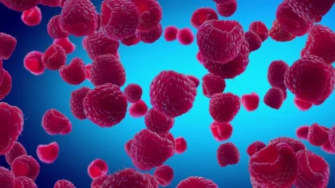 Raspberries Falling on Blue Background. Stock Footage 170919982