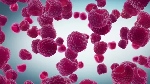 Raspberries Falling on Cyan Background. Stock Footage 170919273