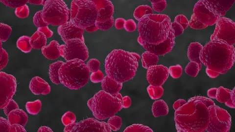 Raspberries Falling on Dark Kitchen Background. Stock Footage 170919644