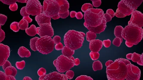 Raspberries Falling on Deep Blue Background. Stock Footage 170919668