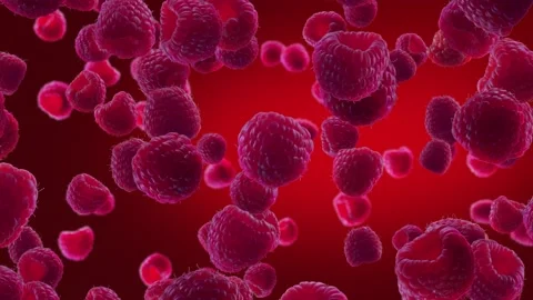 Raspberries Falling on Deep Red Background. Stock Footage 170919248