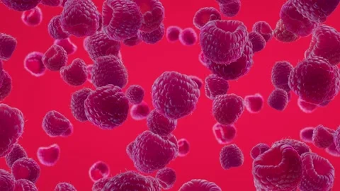Raspberries Falling on Fuchsia Background. Stock Footage 170919501