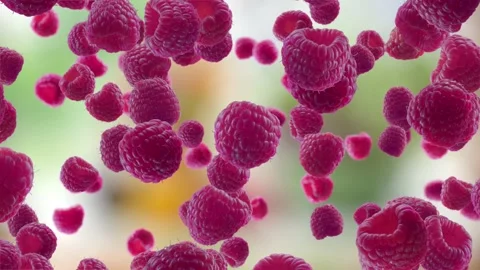 Raspberries Falling on Garden Background. Stock Footage 170919069