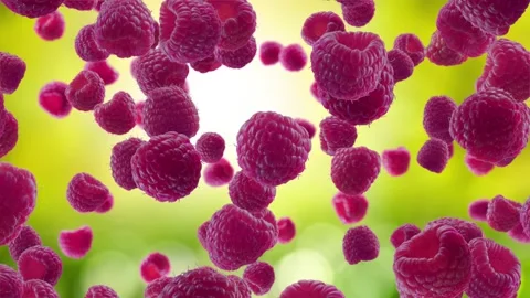 Raspberries Falling on Garden Background. Stock Footage 170919319