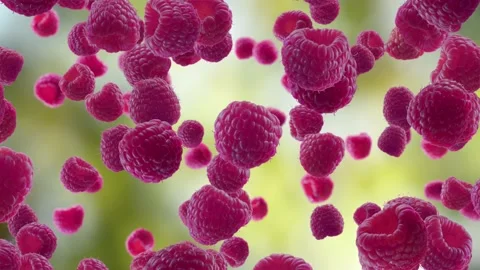 Raspberries Falling on Garden Background. Stock Footage 170919423