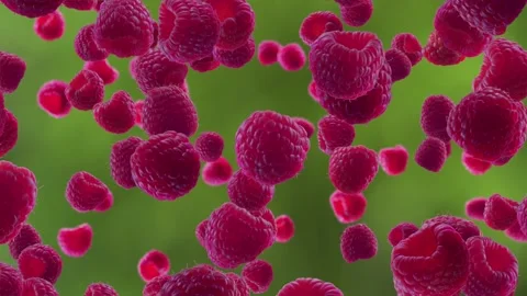 Raspberries Falling on Garden Background. Stock Footage 170919892