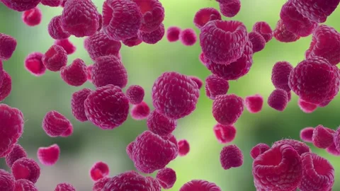 Raspberries Falling on Kitchen Background. Stock Footage 170919358