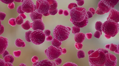 Raspberries Falling on Kitchen Background. Stock Footage 170919381