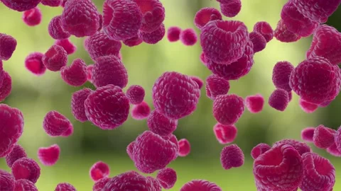 Raspberries Falling on Kitchen Background. Stock Footage 170919559
