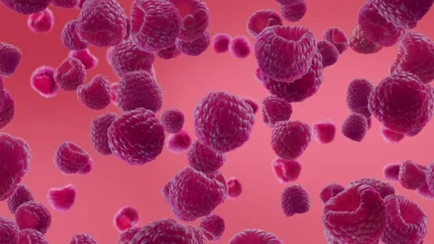 Raspberries Falling on Light Fuchsia Background. Stock Footage 170919855